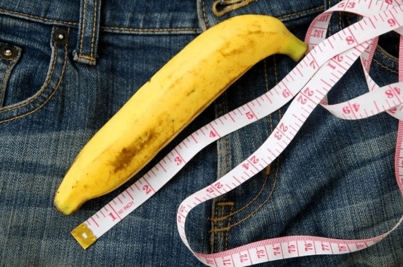 Penis length
