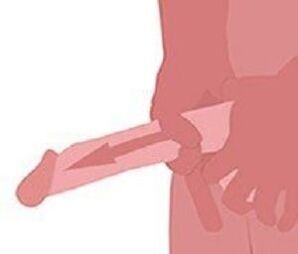 Dorkying to increase penis size